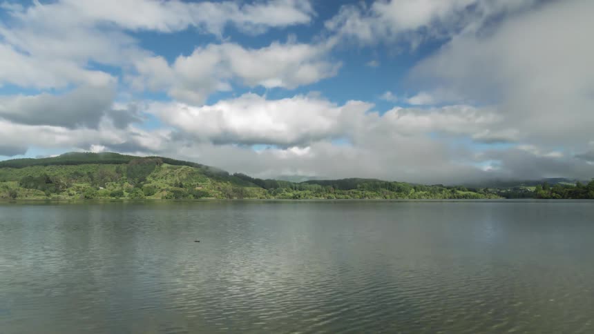 A lake reflecting white clouds passing in the sky and there is a duck swimming on the surface of the water