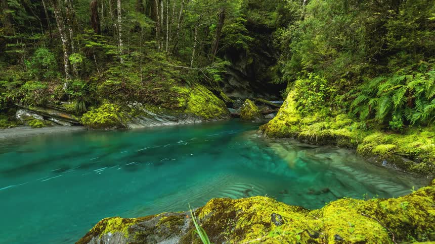 A blue stream runs through the woods