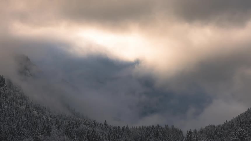 Conifers covered by snow on a mountain on a cloudy day