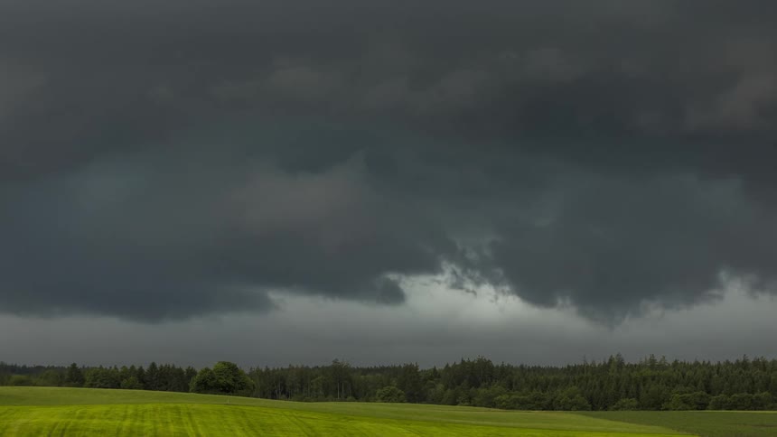 Landscape of a greenish field with a forest in the background on a day with dense hazy clouds