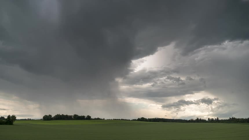 Green field with trees on the horizon and a cloudy sky