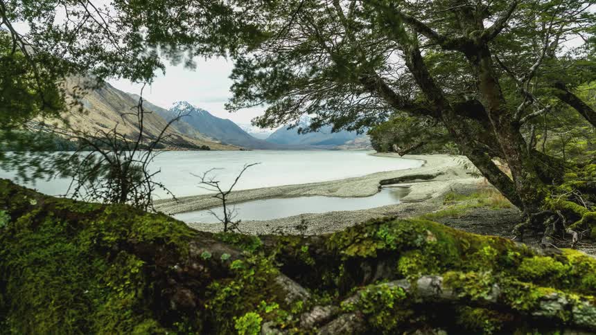 Lake surrounded by mountains and trees