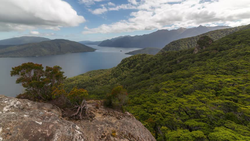 Panoramic view of a lake surrounded by mountains and forests