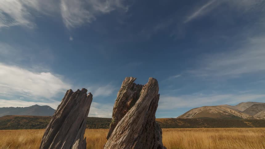 Dry tree trunk in a field surrounded by mountains in the background
