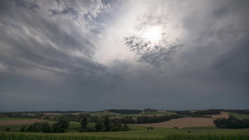 Natural fields with scattered trees on a day with cloudy sky