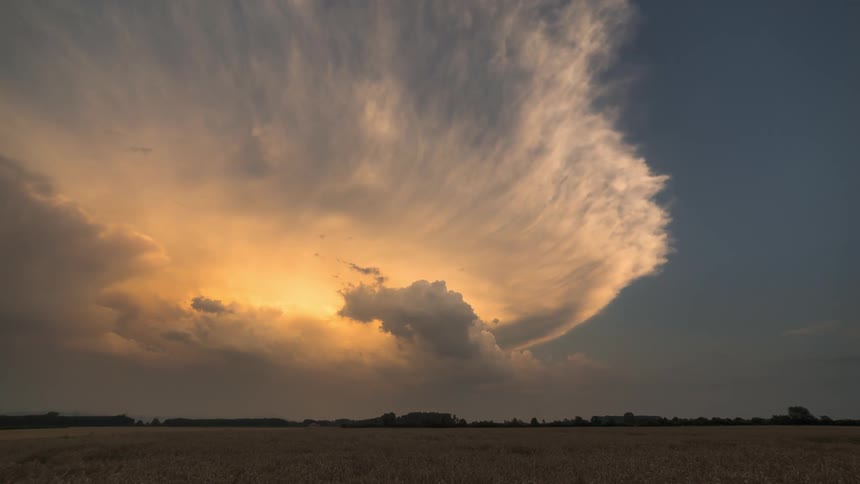 Vast field with silhouettes of trees on the horizon in the late afternoon