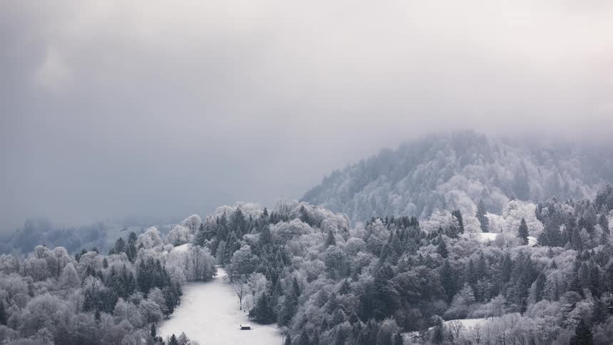 Mountains with snowy conifers on a foggy day