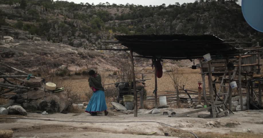 A woman walks away off on a windy day