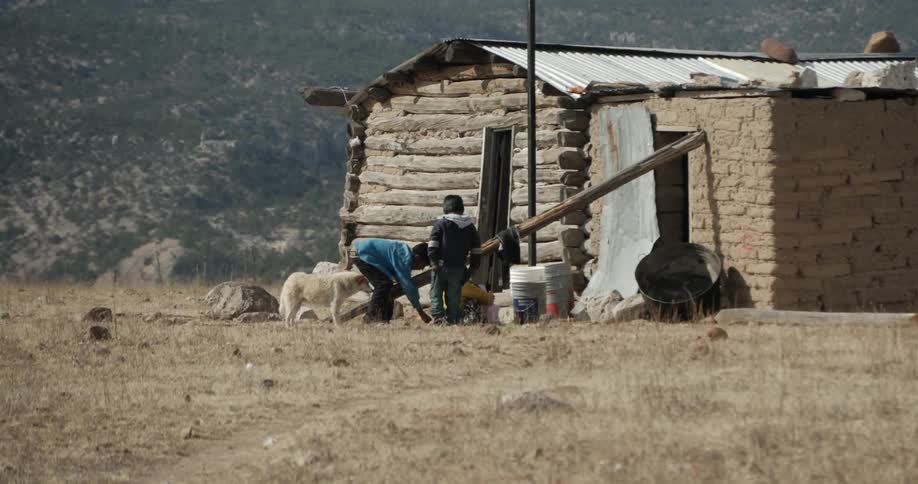 Three boys and a dog are playing outside a shack