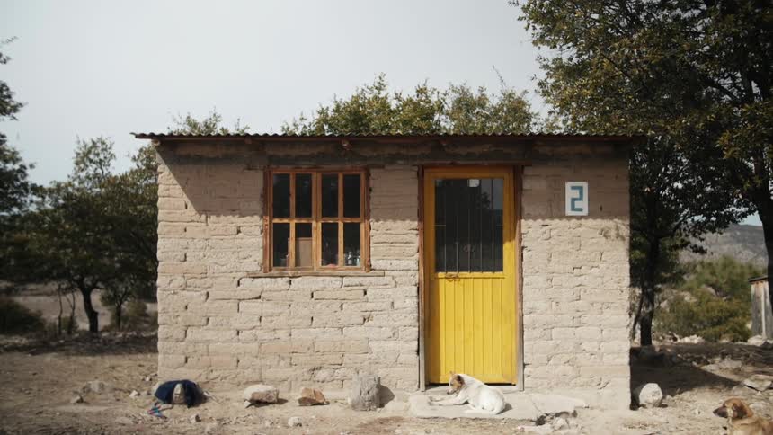 A dog sits on the porch of a small house
