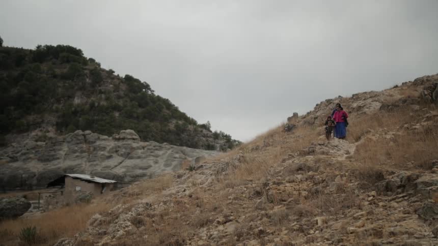 A couple adults and children walk down the side of a hill