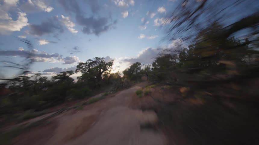 A person riding a bicycle quickly on a dirt road with lots of vegetation on the sides