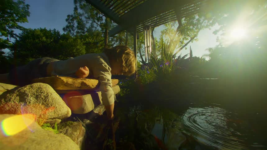Little boy lying on rocks and putting his hand in a pond with fish