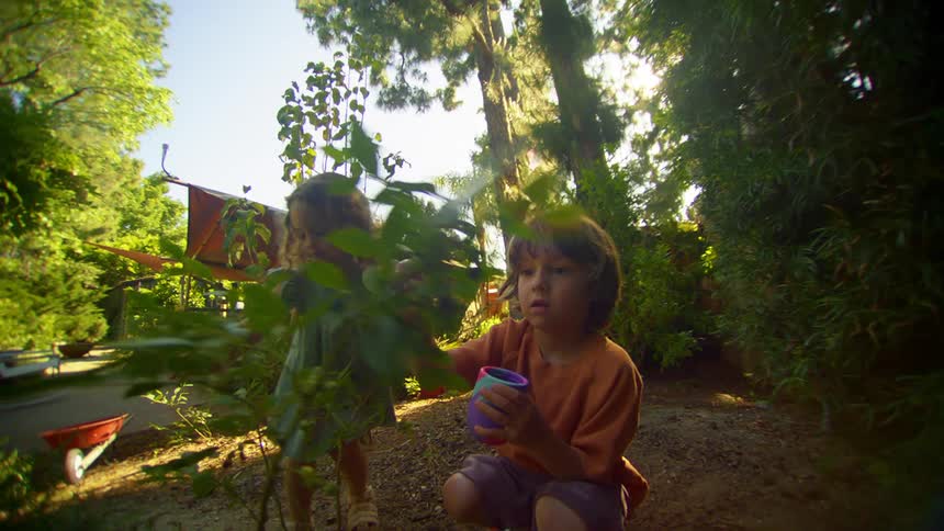 Two little children in a backyard near the forest playing with a plant