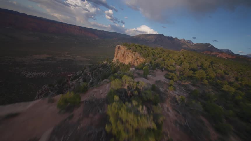 A mountain plateau covered by vegetation