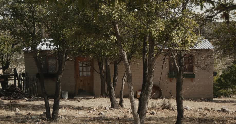 An old house sits among some small trees