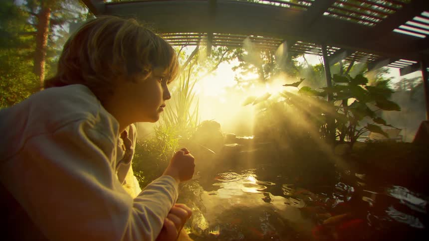 A young boy relaxes next to a koi pond the sun shining brightly