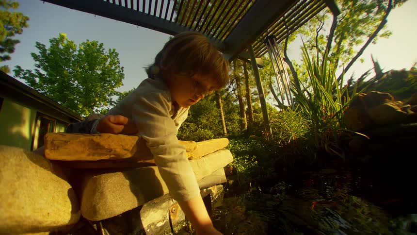 A child dips his hand in the pond full of fish