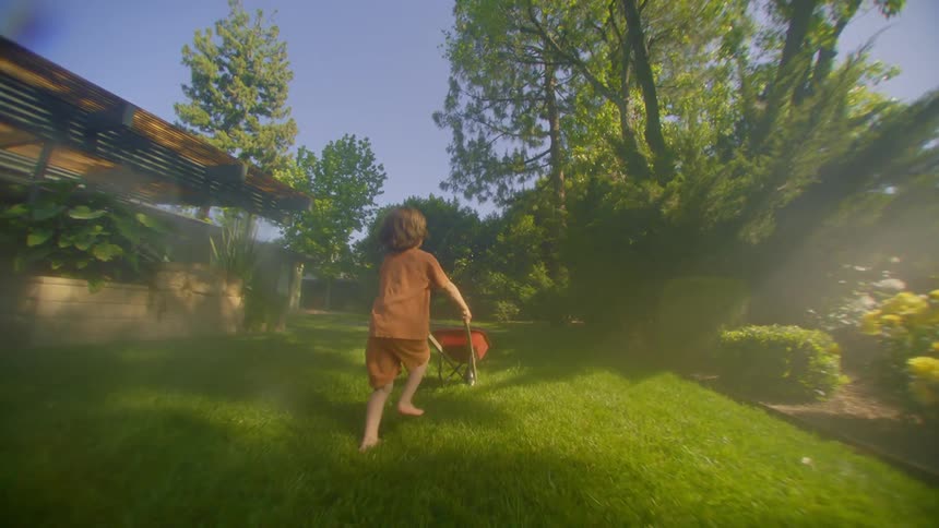 Little boy running with a cart on the grass in the backyard