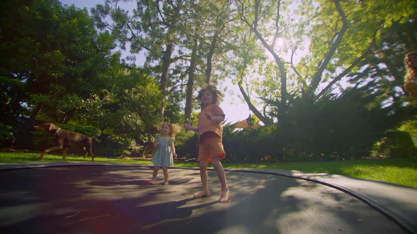 A little boy and a little girl are happy while they are jumping on a trampoline in the backyard of a house and there is a dog passing by behind