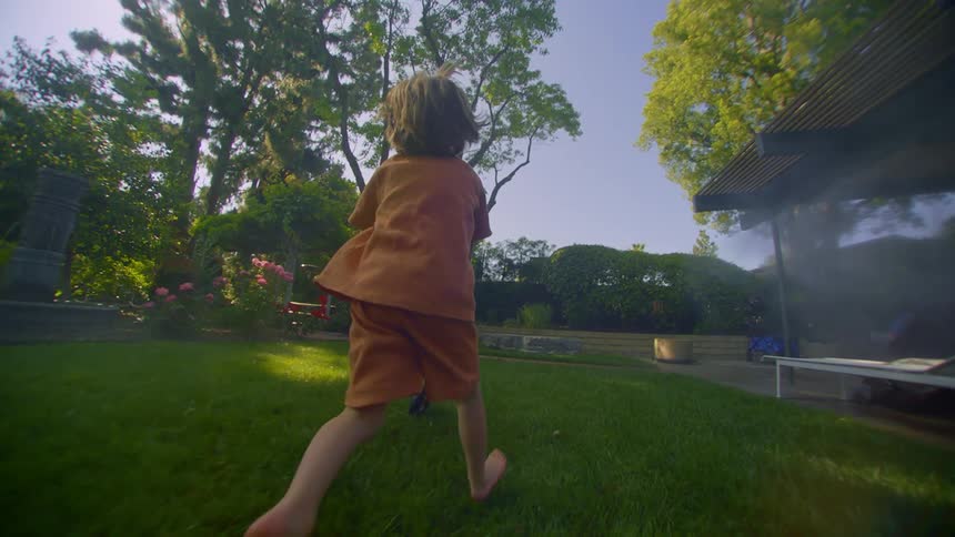 A little boy pushing a wheelbarrow in a yard on the grass