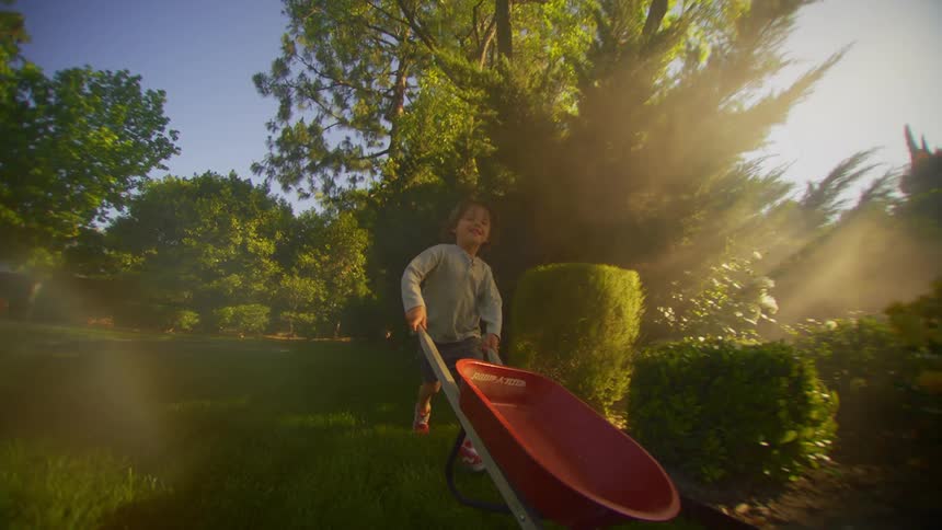 A happy little boy is pushing a wheelbarrow in a yard with lots of grass