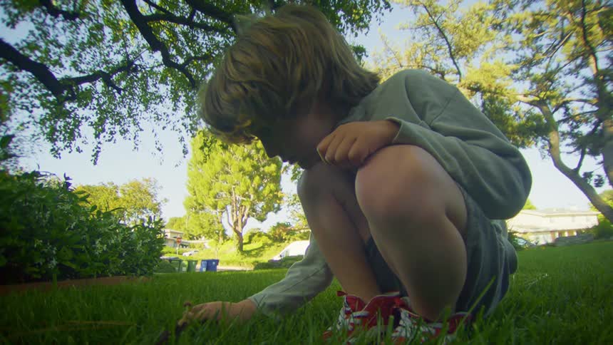 Boy in a garden picking a mushroom in the grass