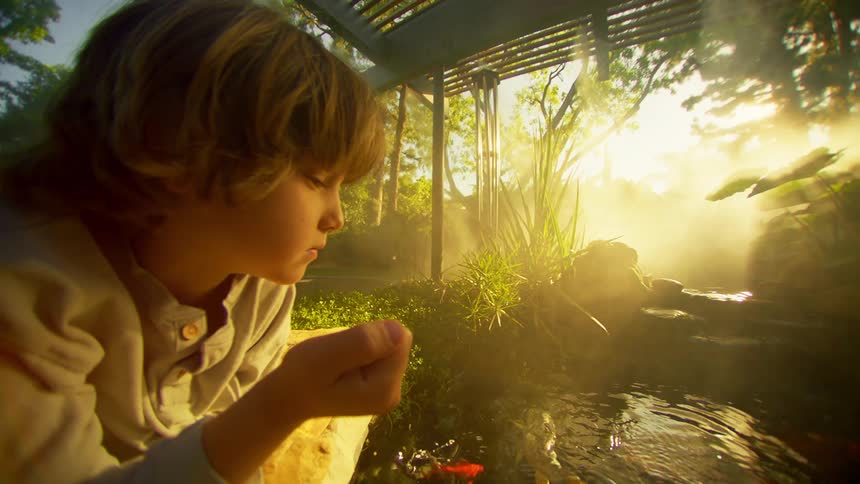 Little boy crouched watching a tank with fish