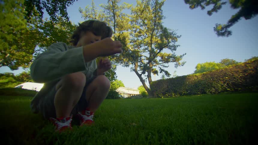 Little boy picking a small mushroom from the grass