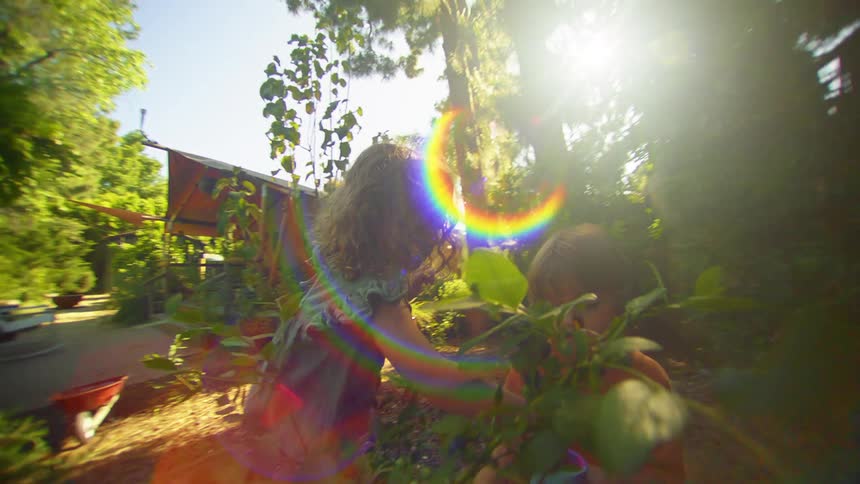 Children pick at the plant in the garden