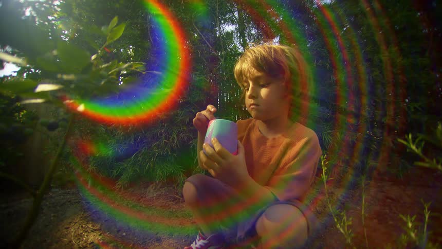 A young boy in a garden crouching by a flower removing seeds and placing them in a cup he is holding