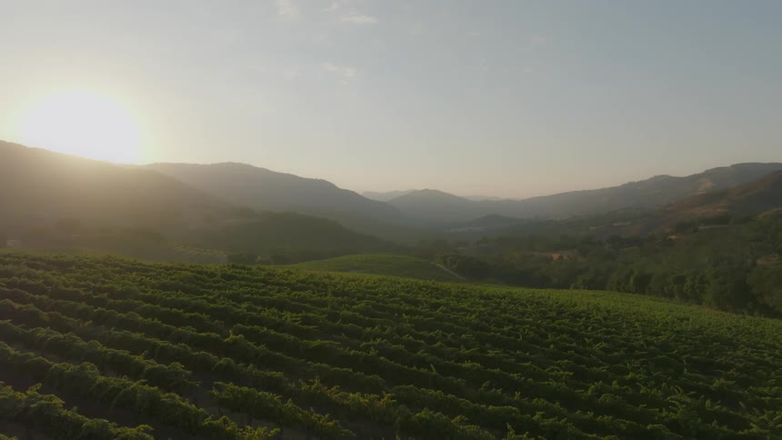 Aerial landscape of an agricultural field on a hill with mountains on the horizon and the sun in the background