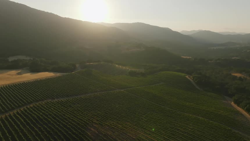 The sun rises over a farm on a clear day