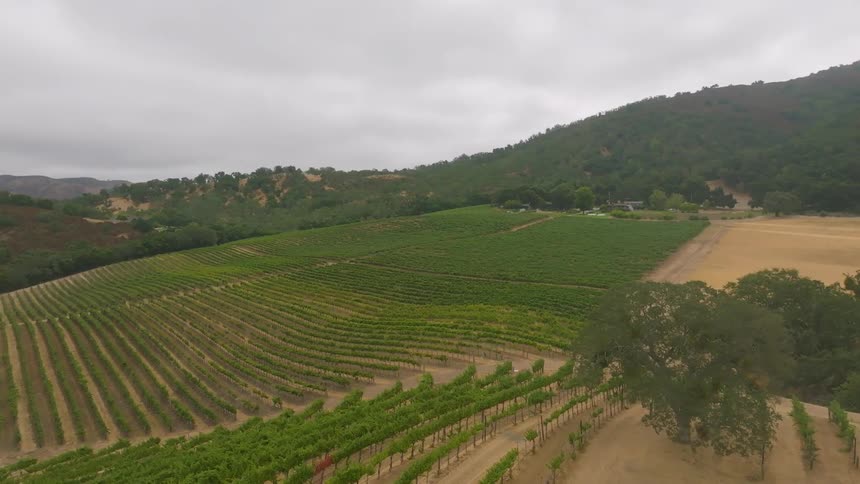 A farm with actively growing fields near a forest and mountains