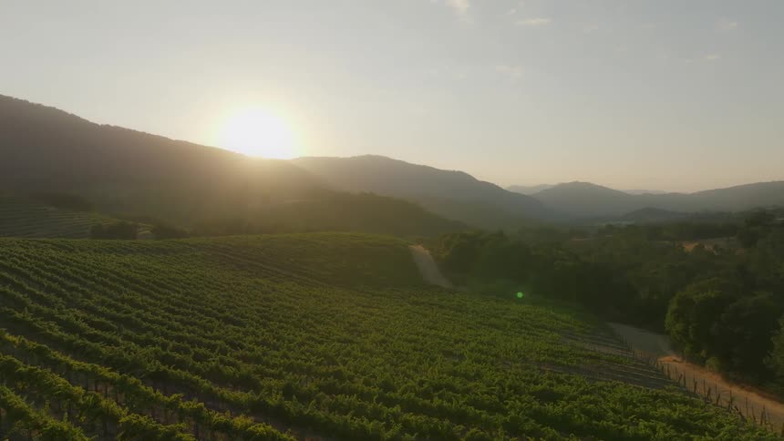A green plantation next to a dirt road and the sun rising behind the mountains