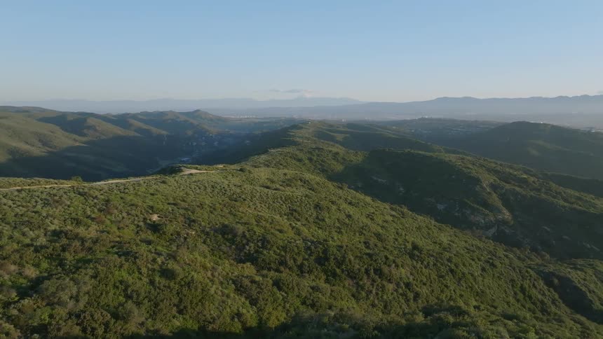 An aerial view of hills covered with trees with green leaves to the horizon