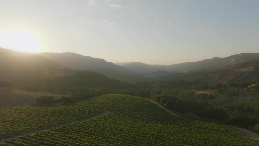 Agricultural fields near a hill with a path on it