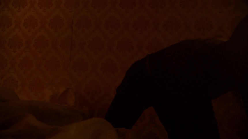 Silhouette of two people in a room with low lighting wrapping some furniture