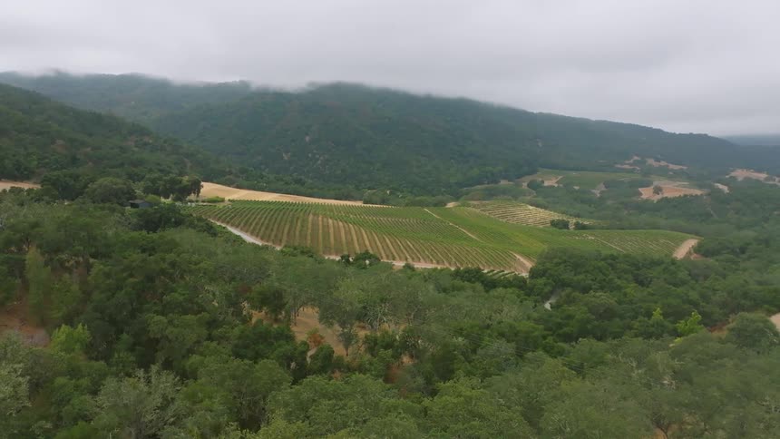 A large farm is in the middle of the landscape