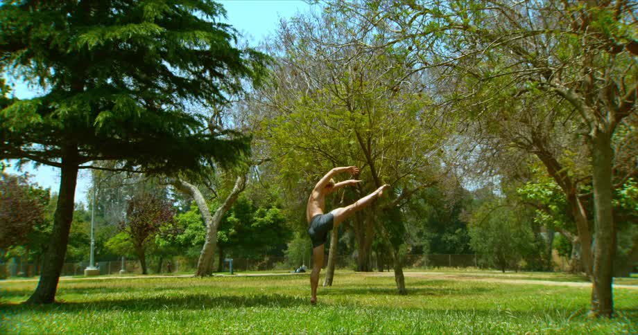 A shirtless man on a green lawn is doing ballet steps