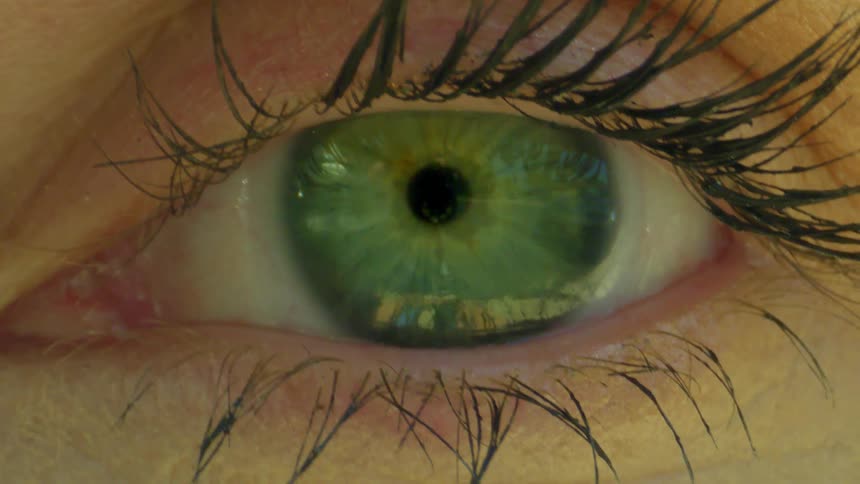 Closeup of green female eye blinking while staring