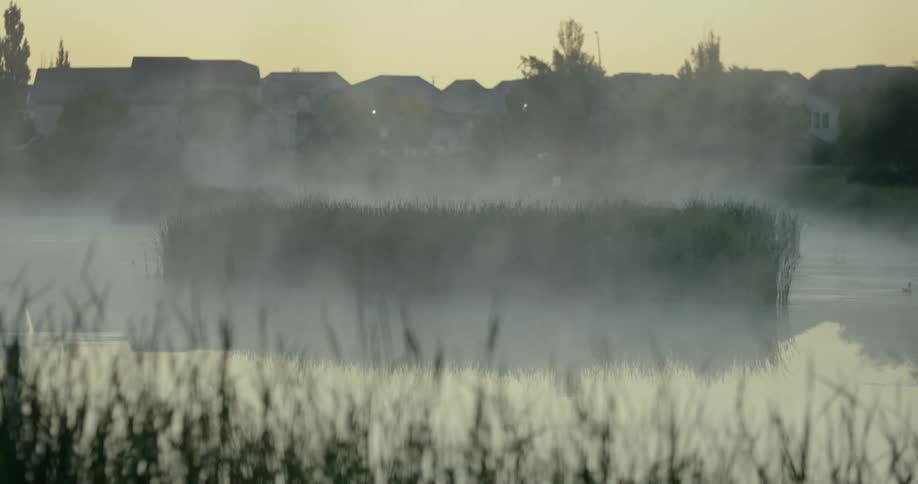 Foggy lake in the background in the residential neighborhood