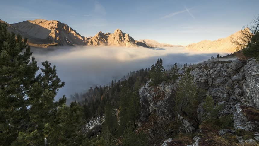 Sea of clouds passing through mountains with trees