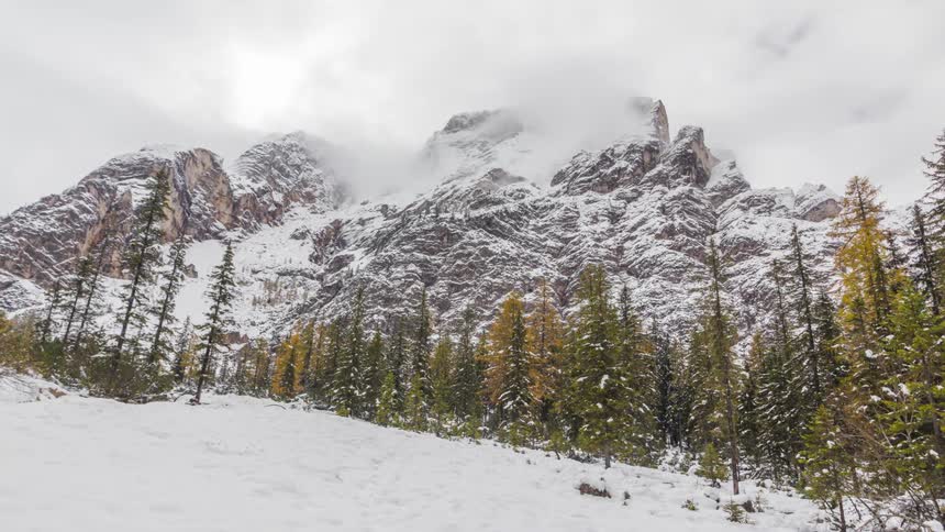 A pine forest behind there is a mountain covered in snow and several clouds passing through the place