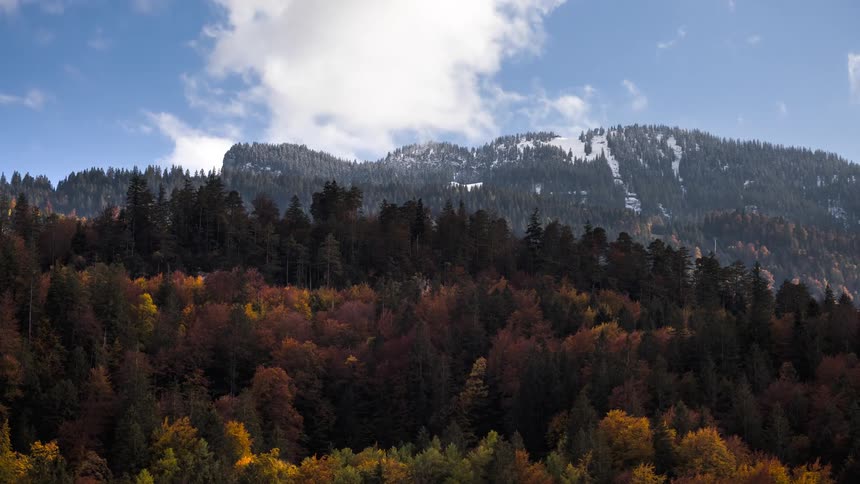 Panorama of mountains with colorful conifers and partly cloudy sky