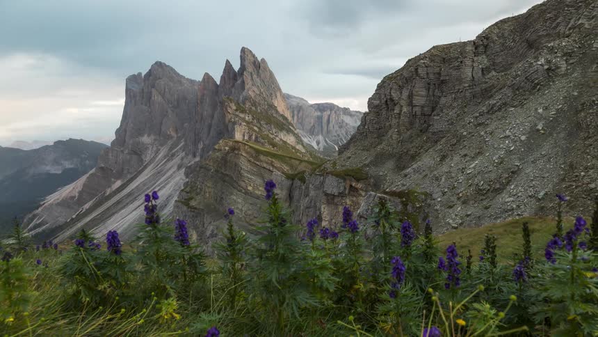Mountainous landscape with green vegetation and purple flowers in the foreground under a cloudy sky