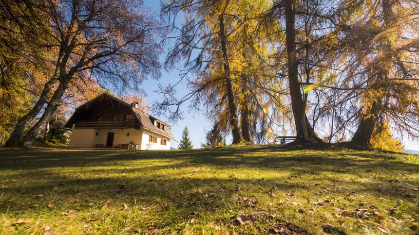 A small wooden house in a place with a large green field with some trees with yellow leaves