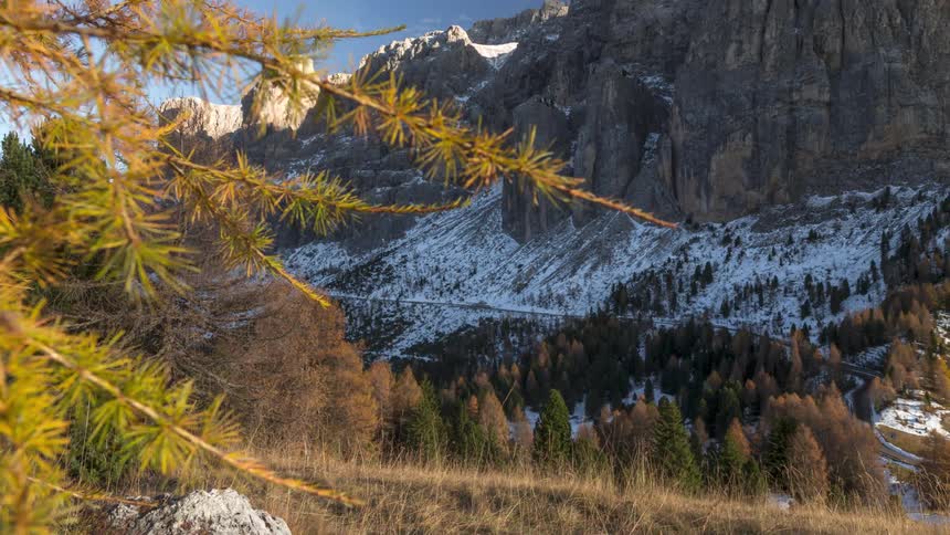 Mountain range with dense coniferous forests against a blue sky