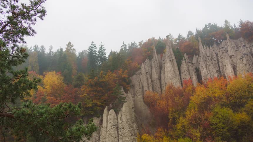 Rocky wall with colorful conifers on a rainy day