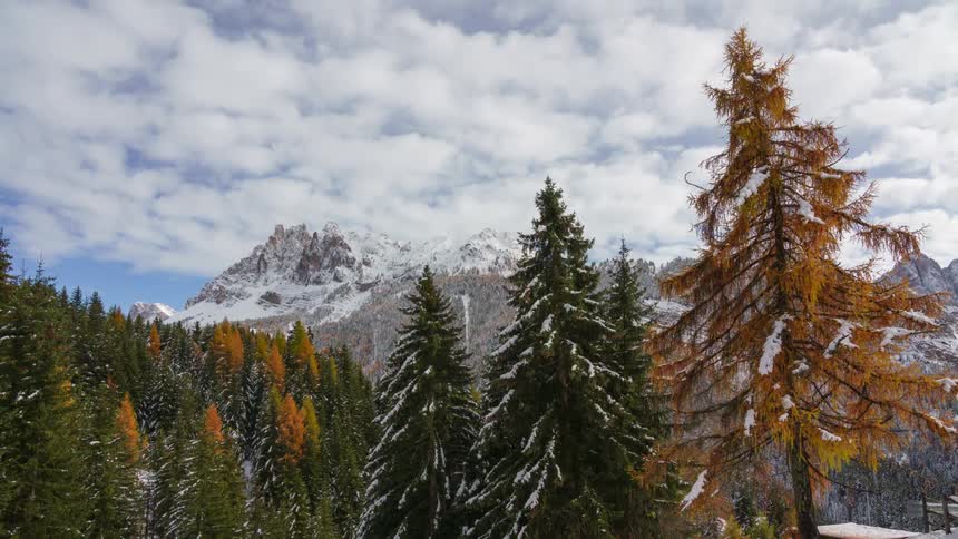 Snowcovered mountain range under a sky with scattered clouds and snowcovered evergreen trees in the foreground